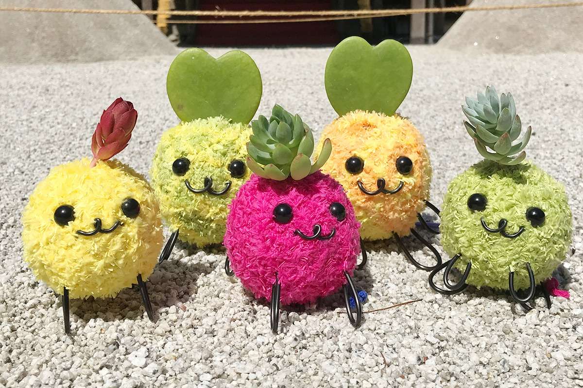 もふもふモスペット